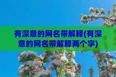 ​有深意的网名带解释(有深意的网名带解释两个字)