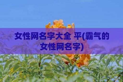 女性网名字大全 平(霸气的女性网名字)