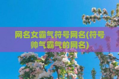 ​网名女霸气符号网名(符号帅气霸气的网名)