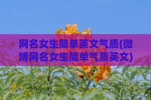 网名女生简单英文气质(微博网名女生简单气质英文)