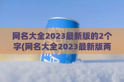 ​网名大全2024最新版的2个字(网名大全2024最新版两个字霸气)