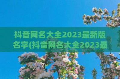 ​抖音网名大全2024最新版名字(抖音网名大全2024最新版女生)